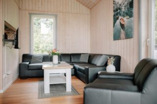 Wohnzimmer inklusive TV